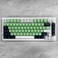 GMK Mint 104+69 SA Profile ABS Doubleshot Keycaps Set for Cherry MX Mechanical Gaming Keyboard